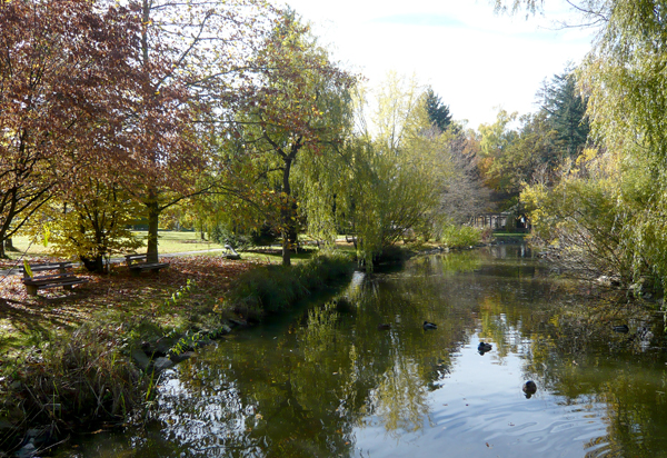 content-hinterzarten-teich-herbst-hotel-silberdistel-hinterzarten-schwarzwald